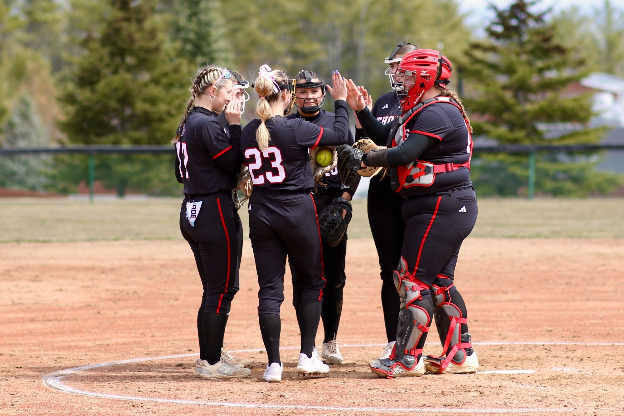 Softball Huddle