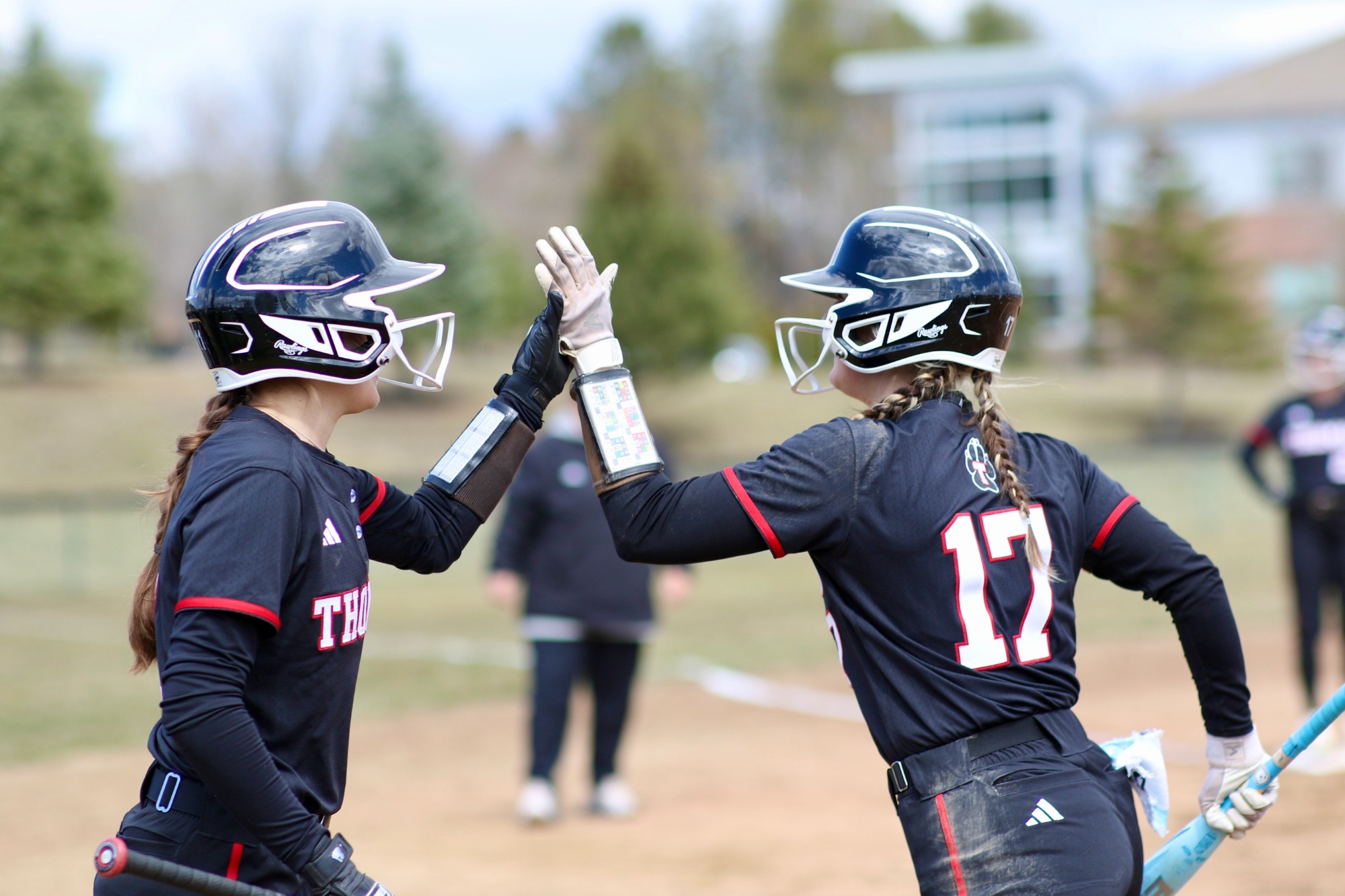 Softball High Five