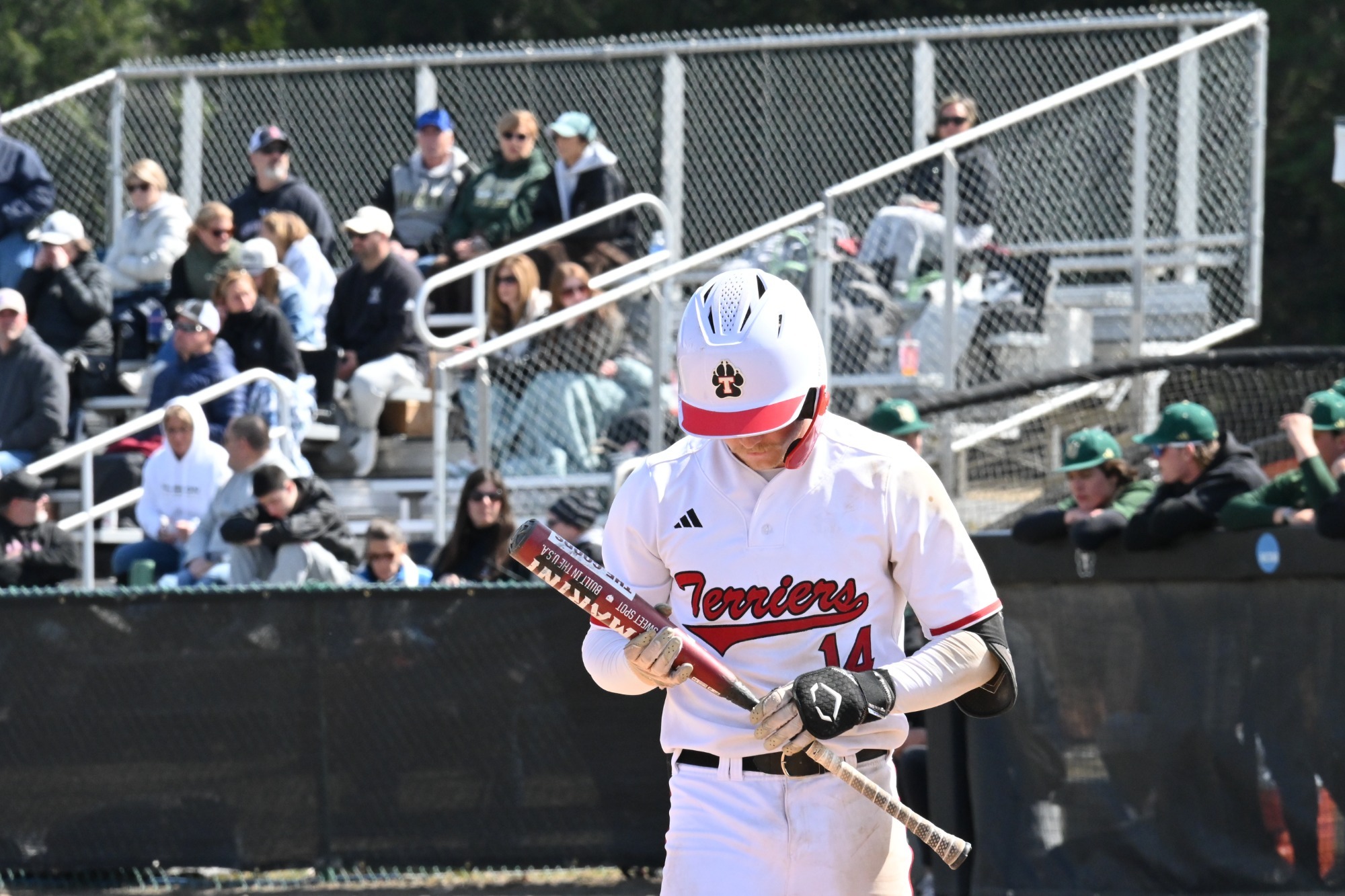 Hayden Dippner Action