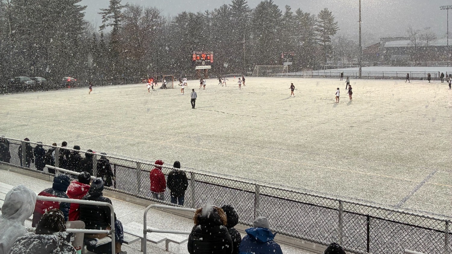 Women's Lacrosse Snow