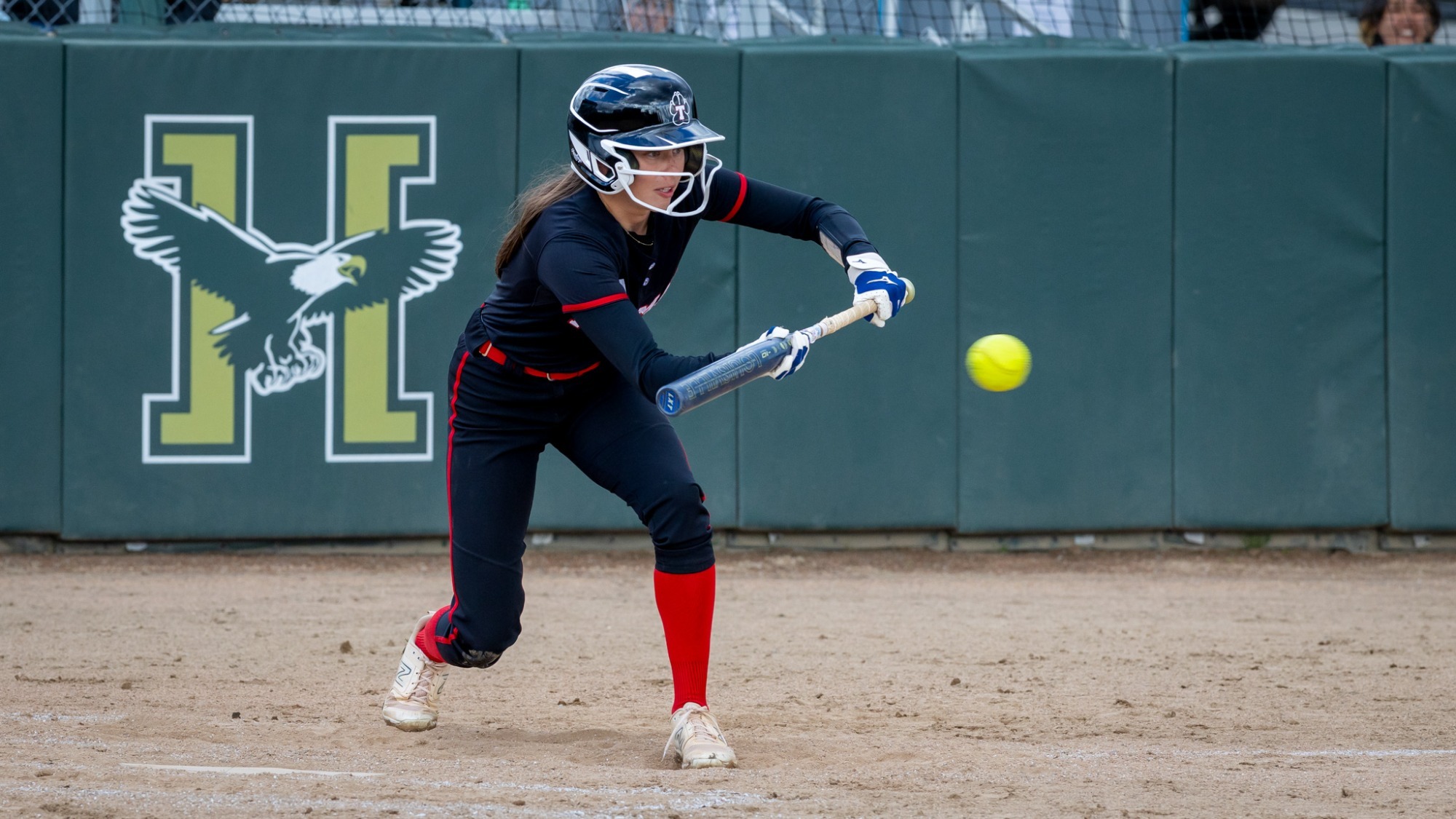 Leah Knight Action