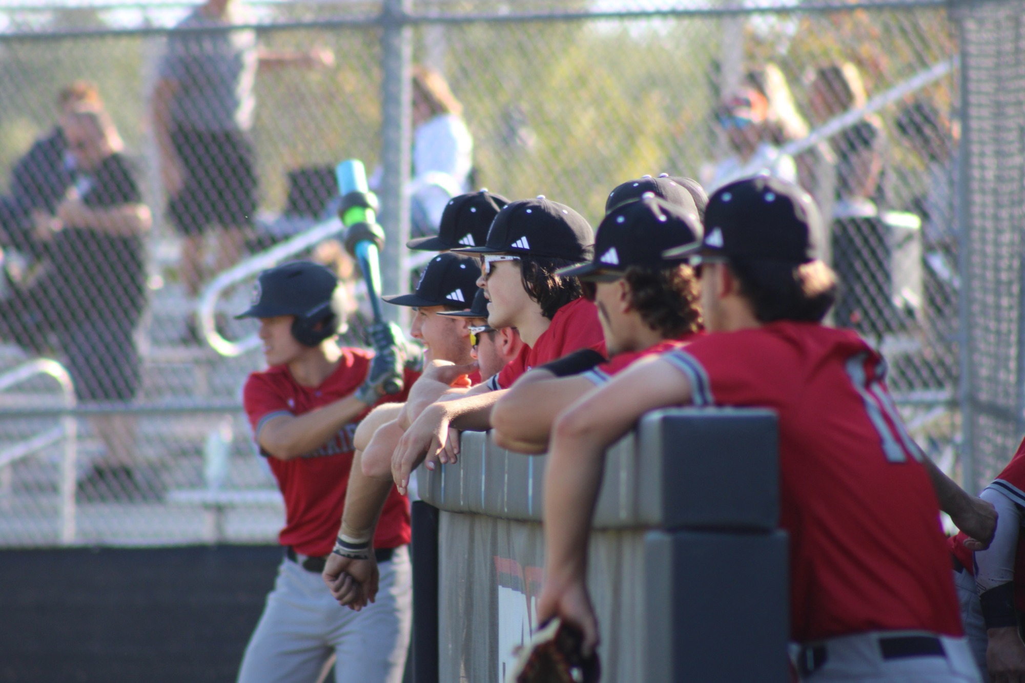 Baseball players in red jerseys and black caps lean against the dugout railing and watch the game from the sidelines. One player wearing a batting helmet stands near the front holding a bat, while teammates line the fence behind. Chain-link fencing, bleachers, and spectators are visible in the background, with bright afternoon sunlight illuminating the scene.