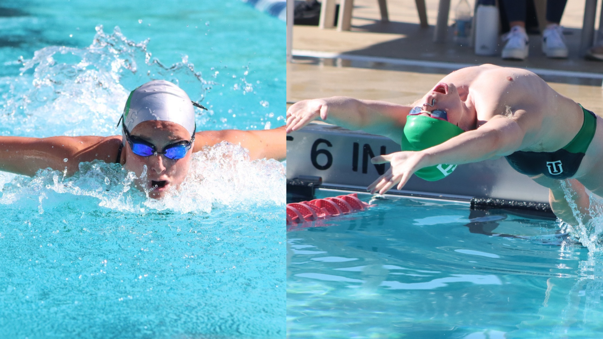 Aspen Shipp - Tim Brown