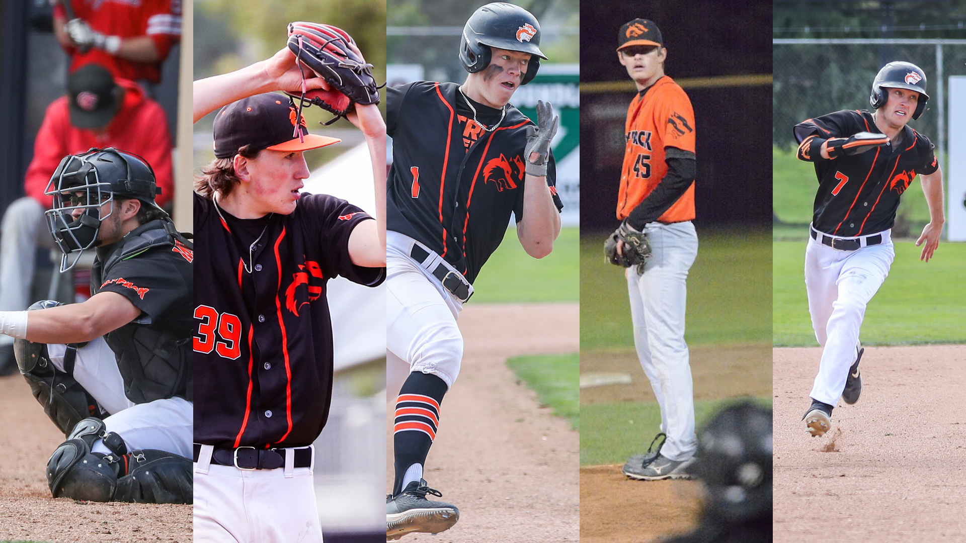 Baseball Award winners