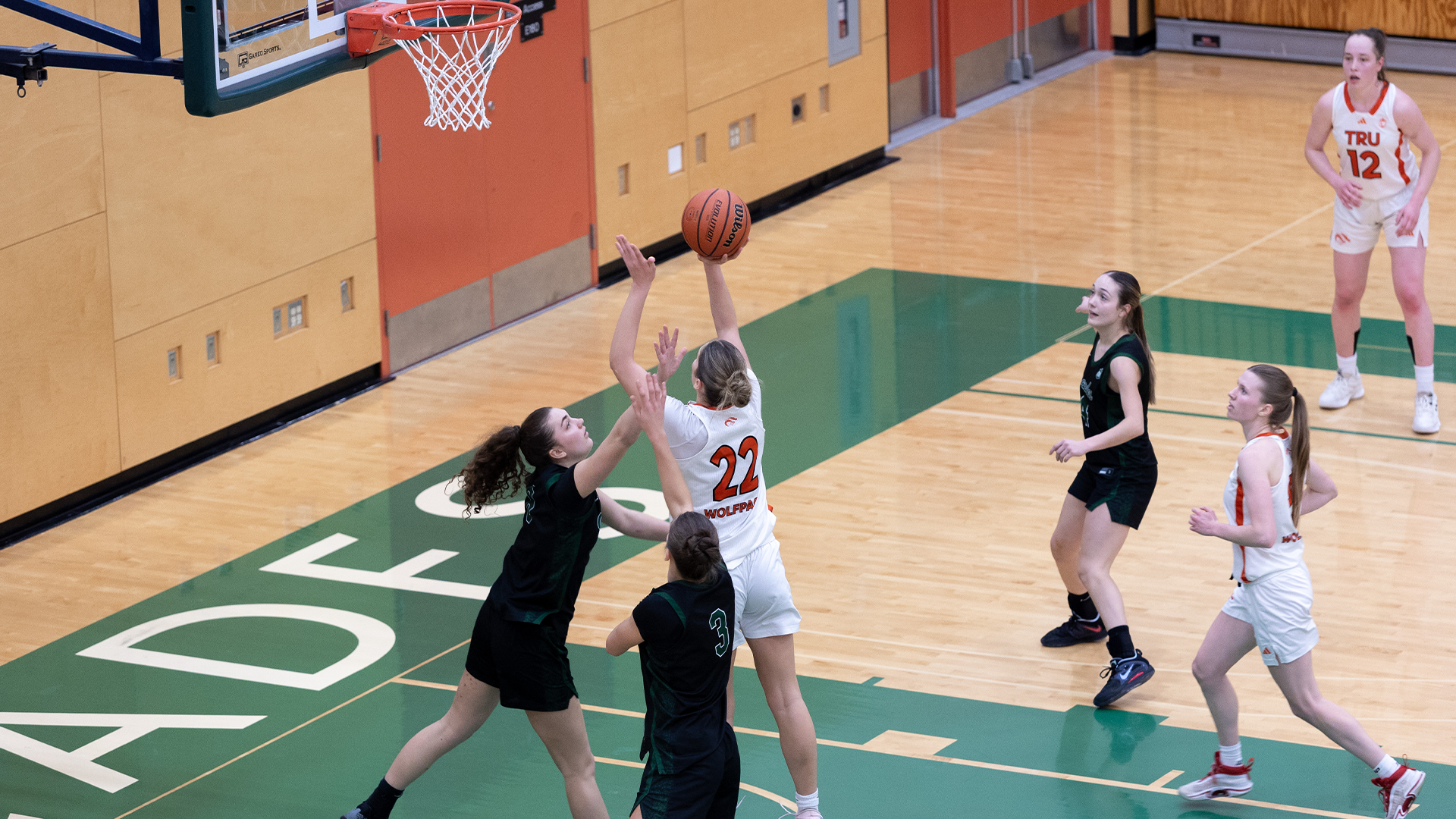 Morgan Eichenberger WEB