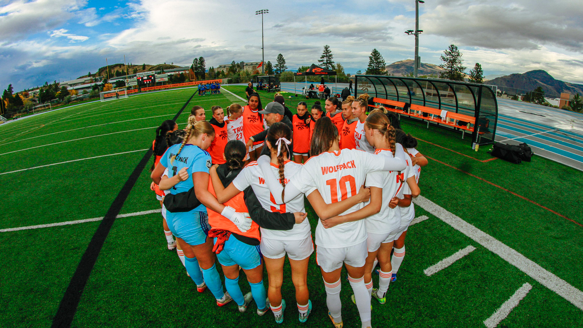 WSOC Web