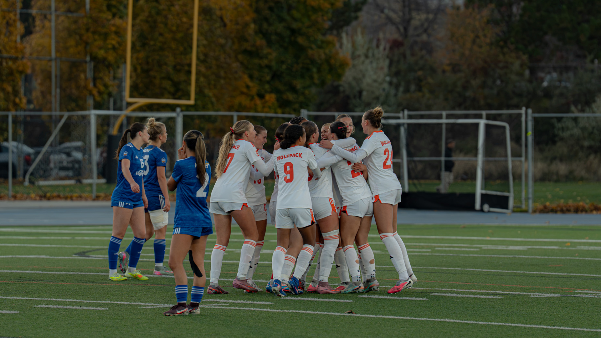 WSOC WEB