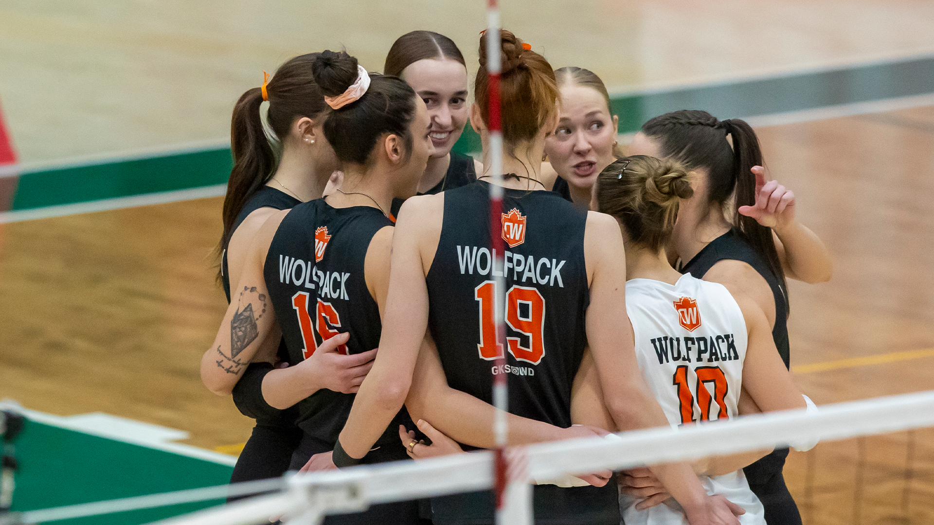 WVB WEB