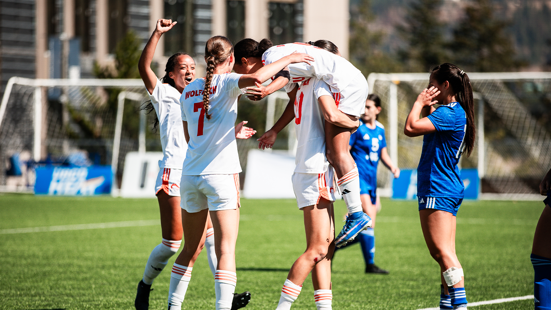 WSOC Web