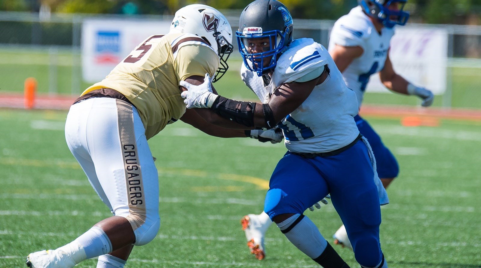 Justin Hackley Football Trinity International University Athletics