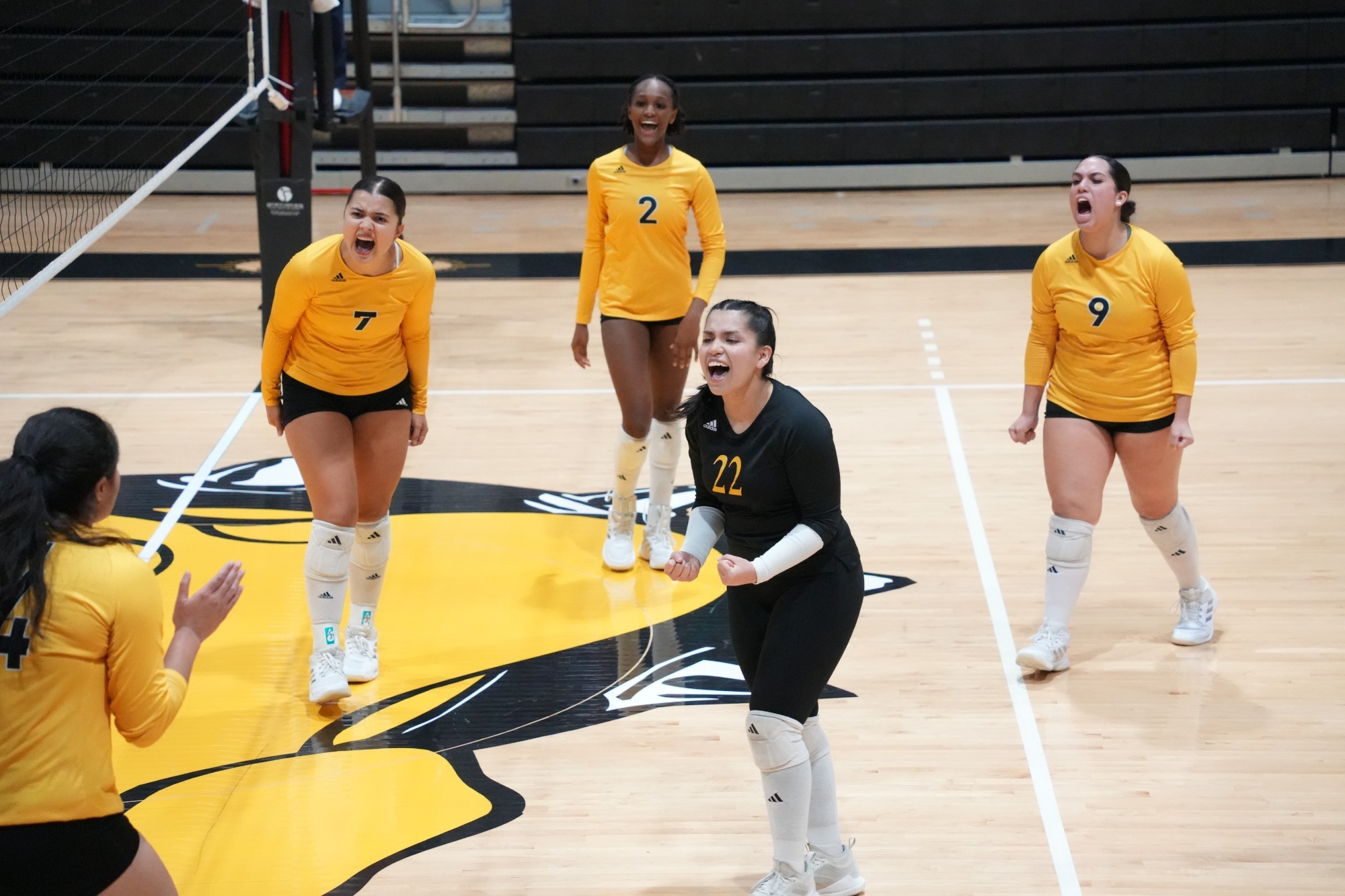 Volleyball celebrates