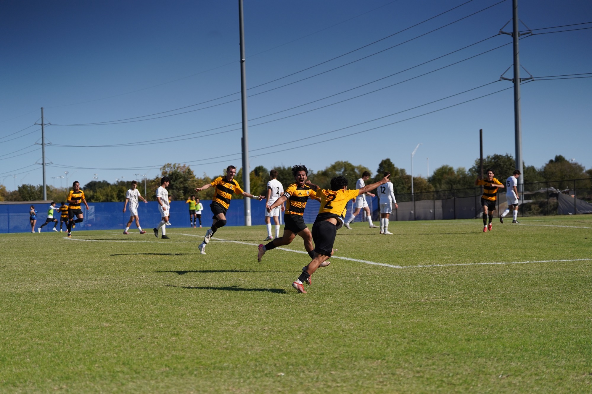 Carlos Longoria celebrates