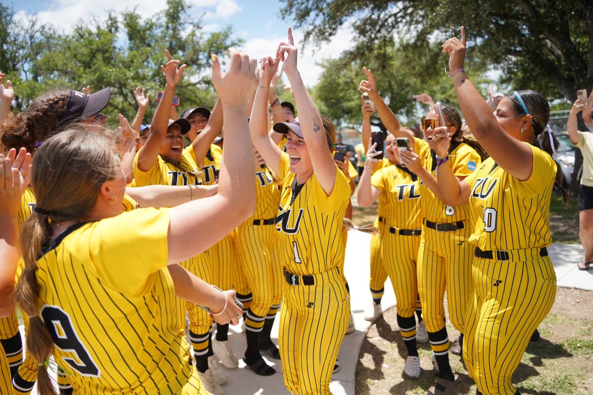 Softball Celly