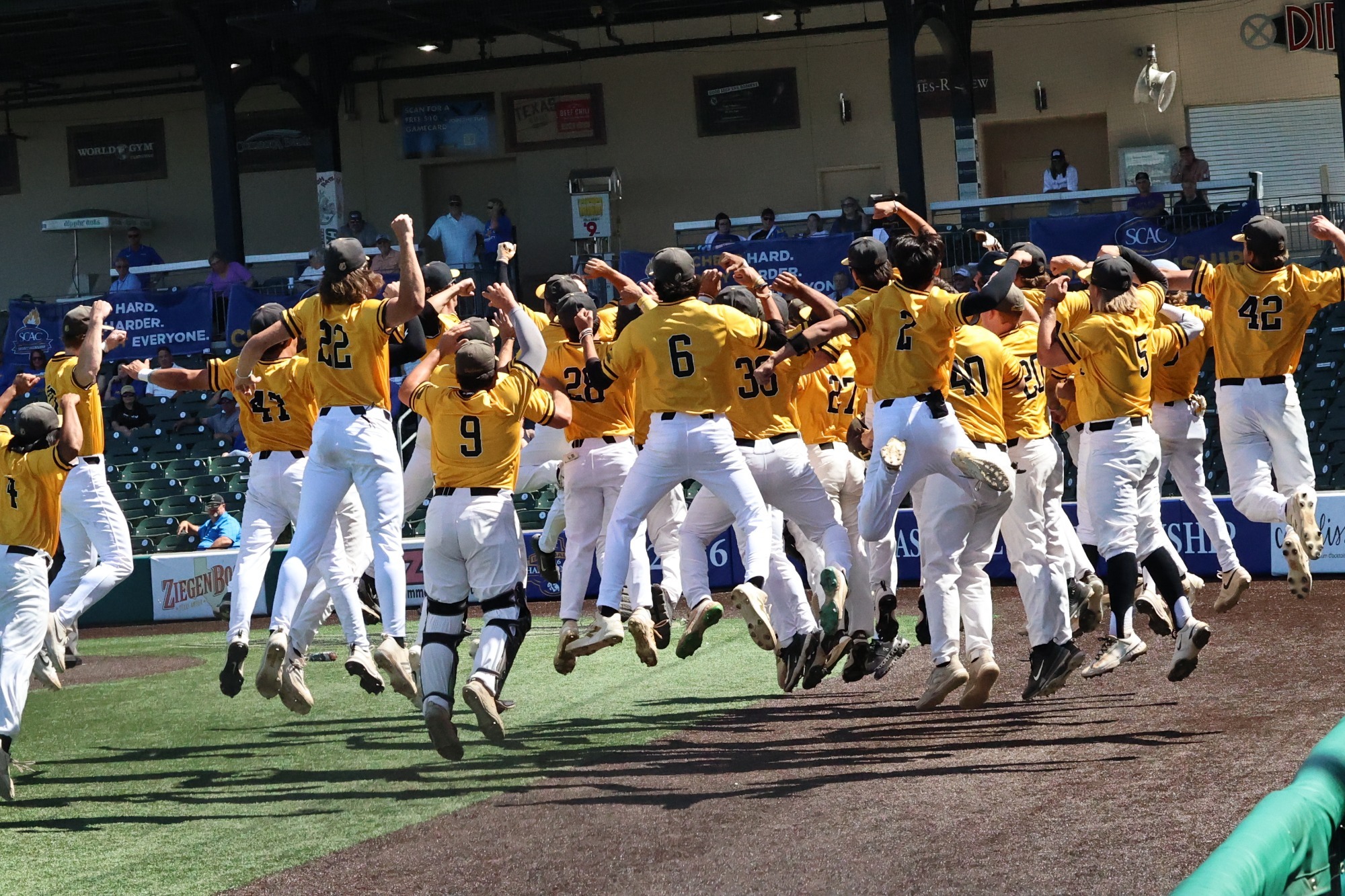 Baseball celebrates