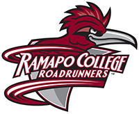 Opponent Logo