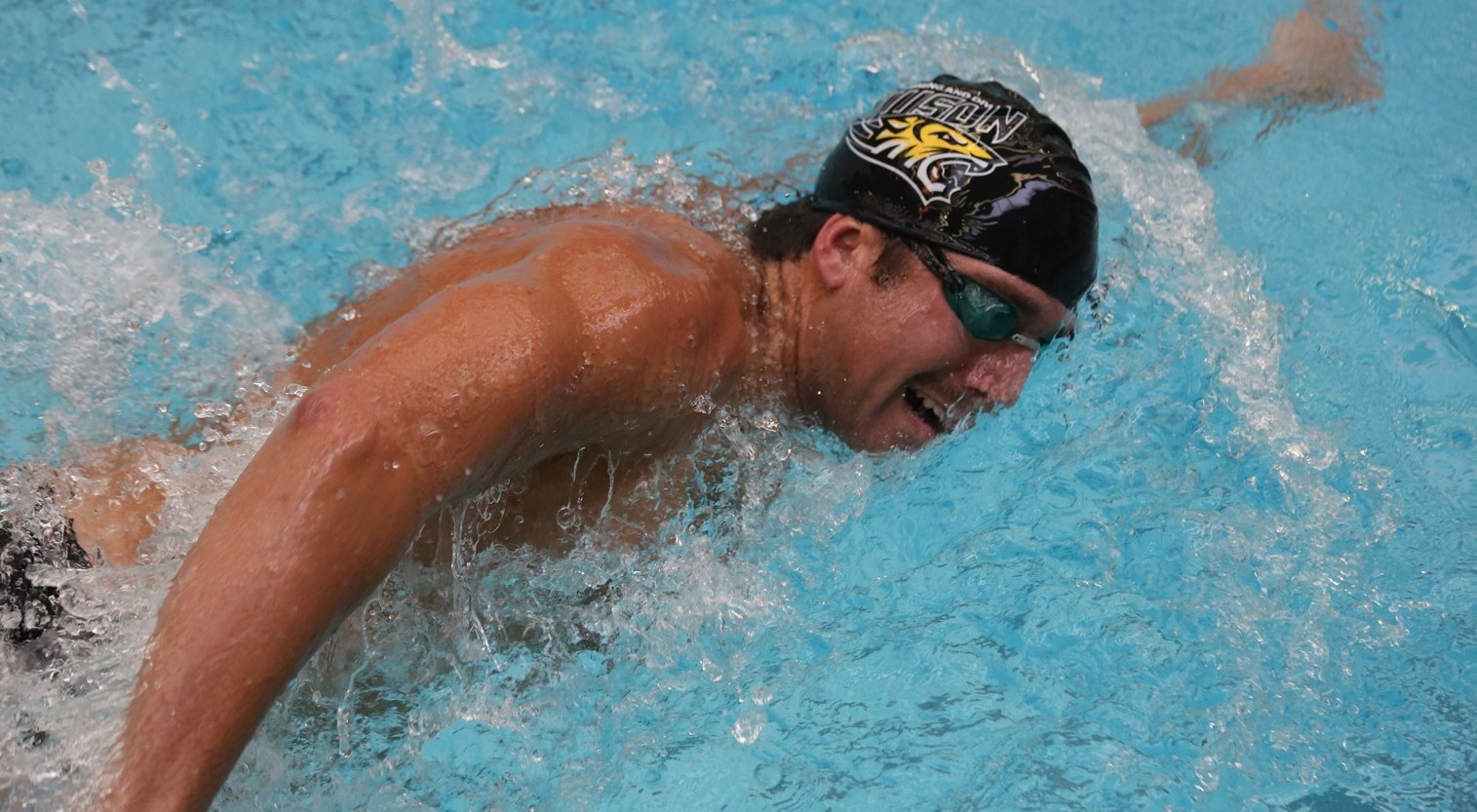 Jordan Lingo Men's Swimming and Diving Towson University Athletics