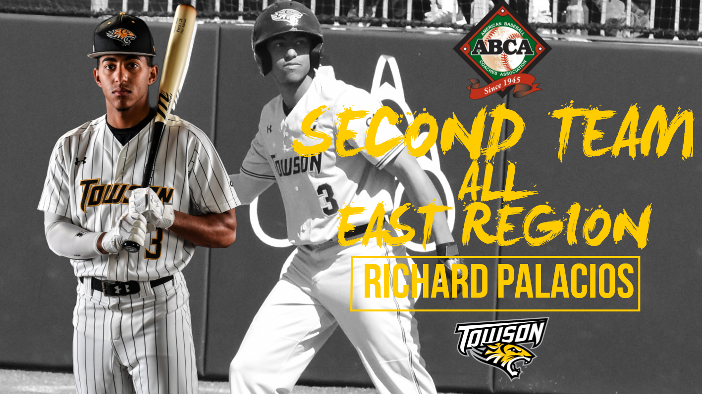Richie Palacios Baseball Towson University Athletics