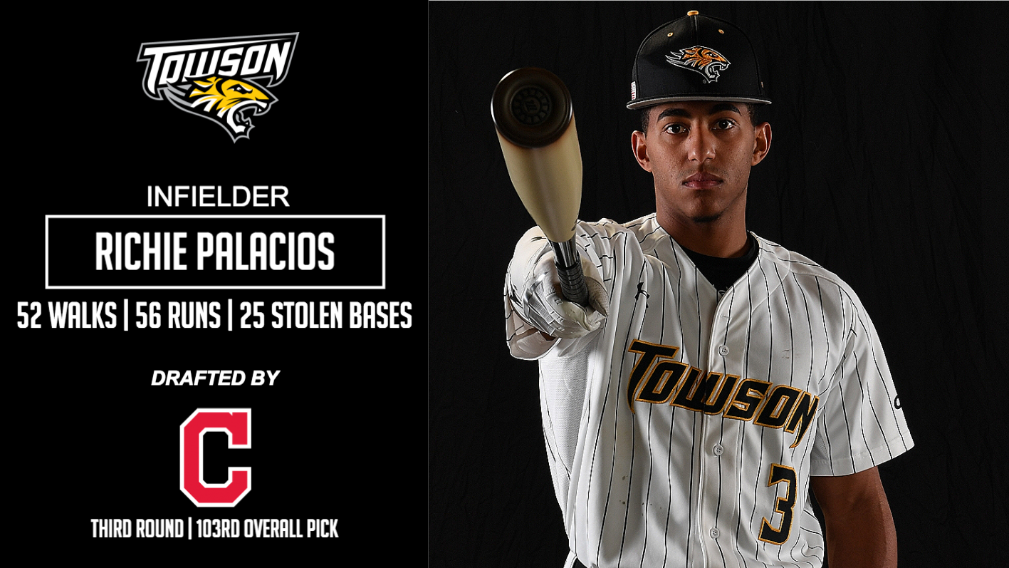 Richie Palacios Baseball Towson University Athletics