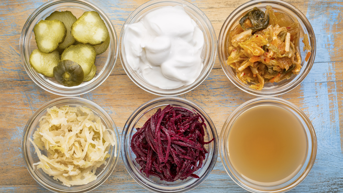 fermented food collection