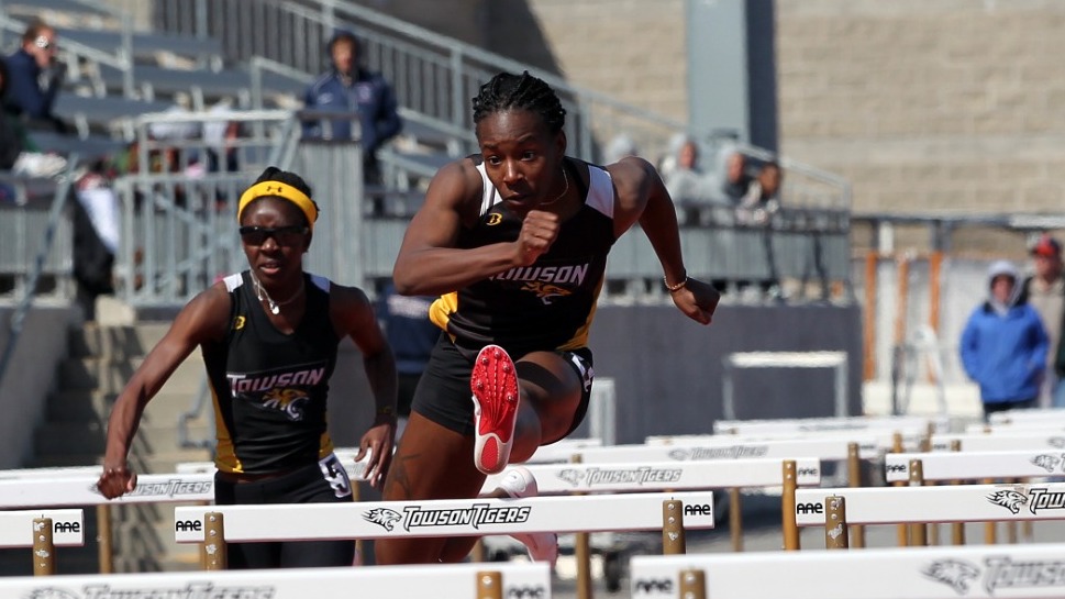 Ashley Adams White 2009