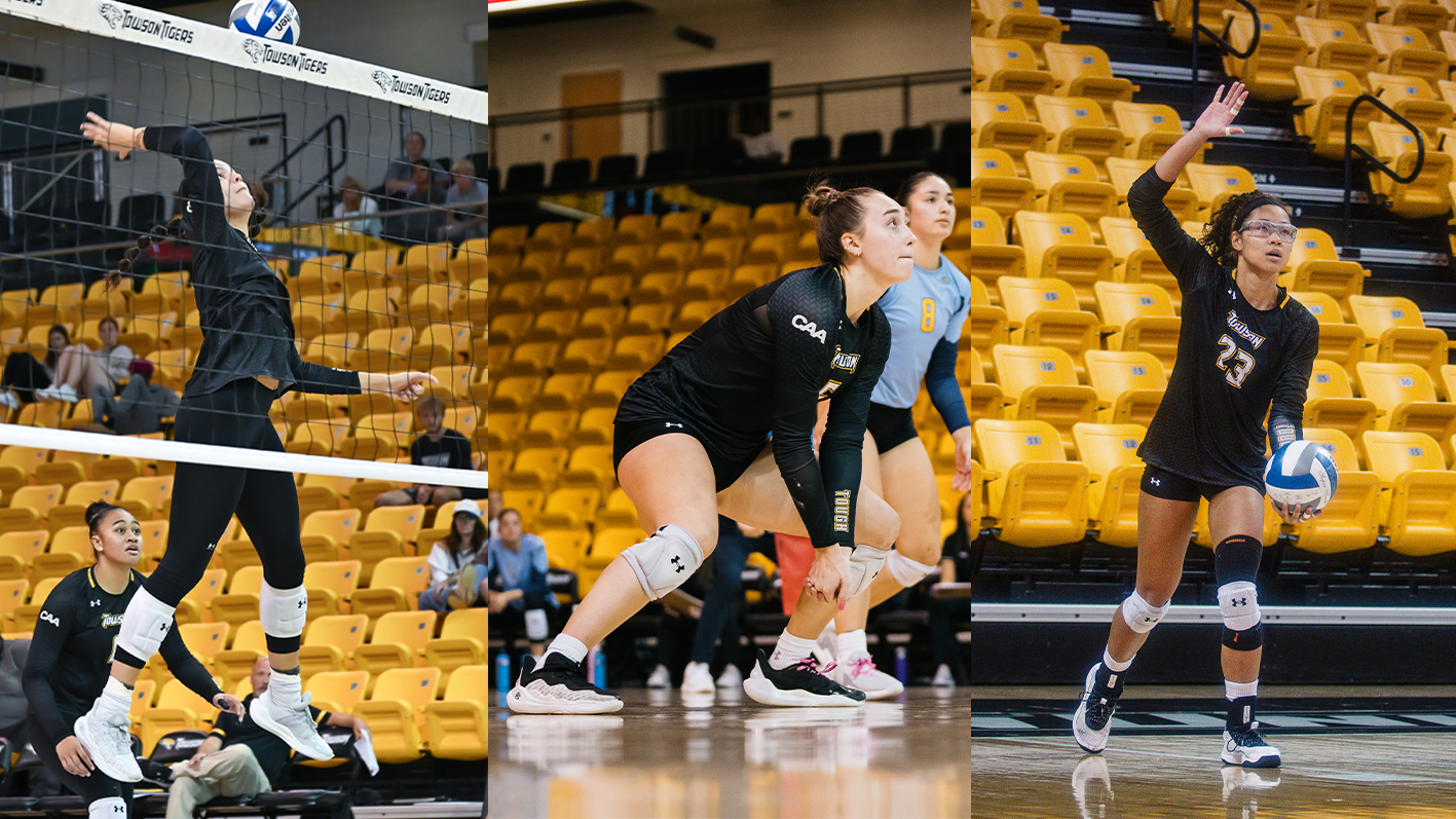 Brothers, Stewart and Sanders