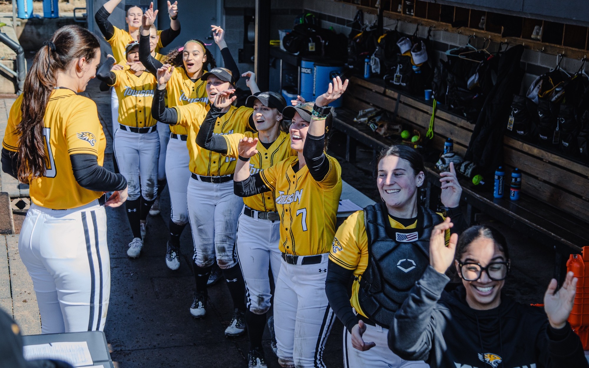 Towson softball 2026