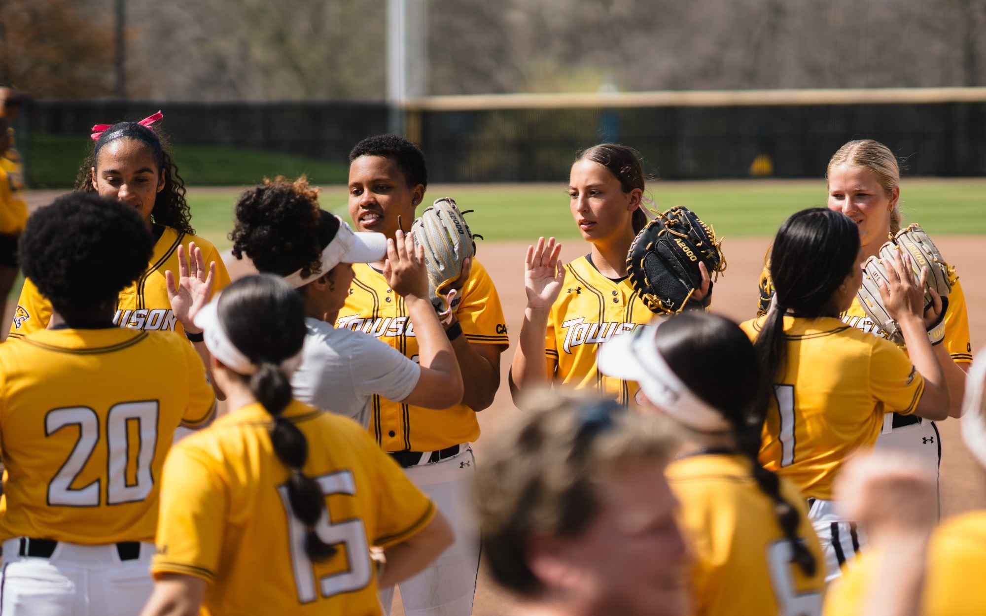 Softball huddle