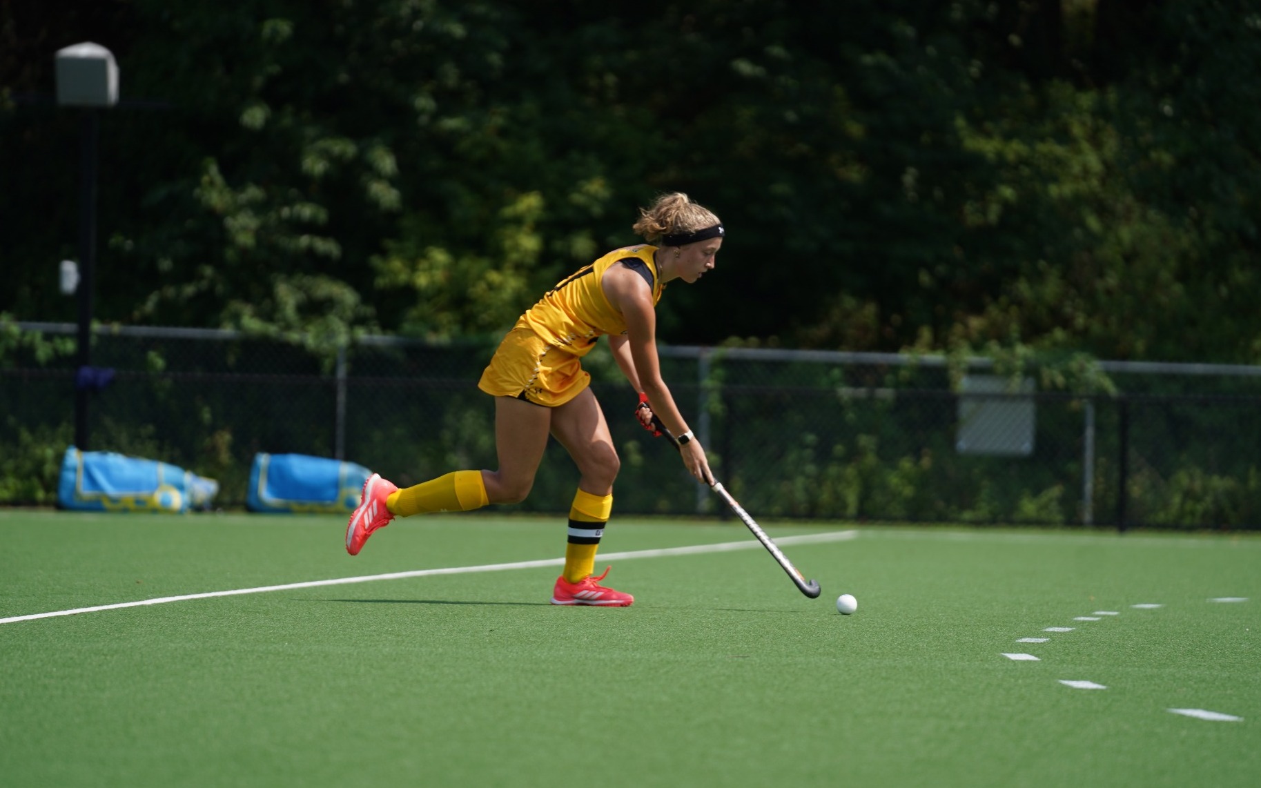 Anouk Westerink