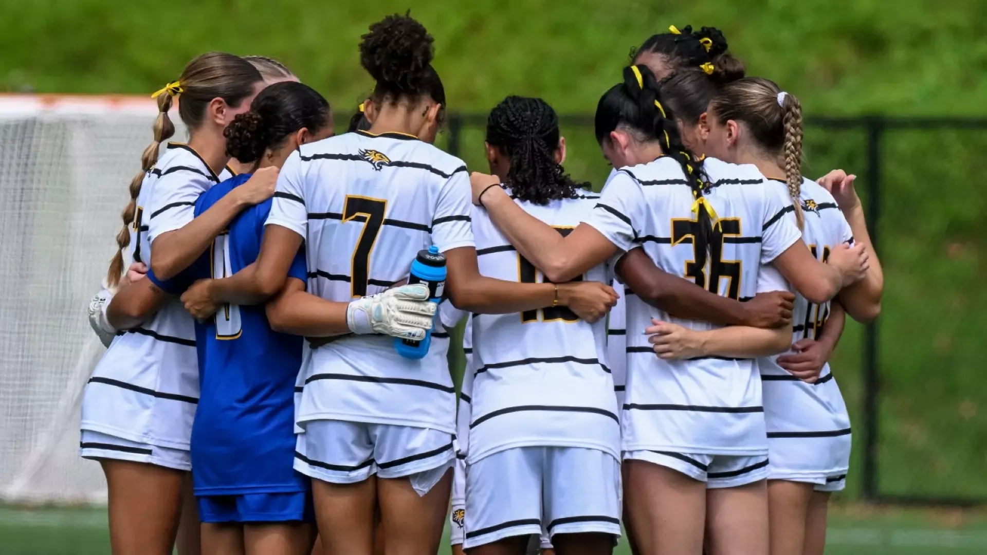 WSOC Huddle