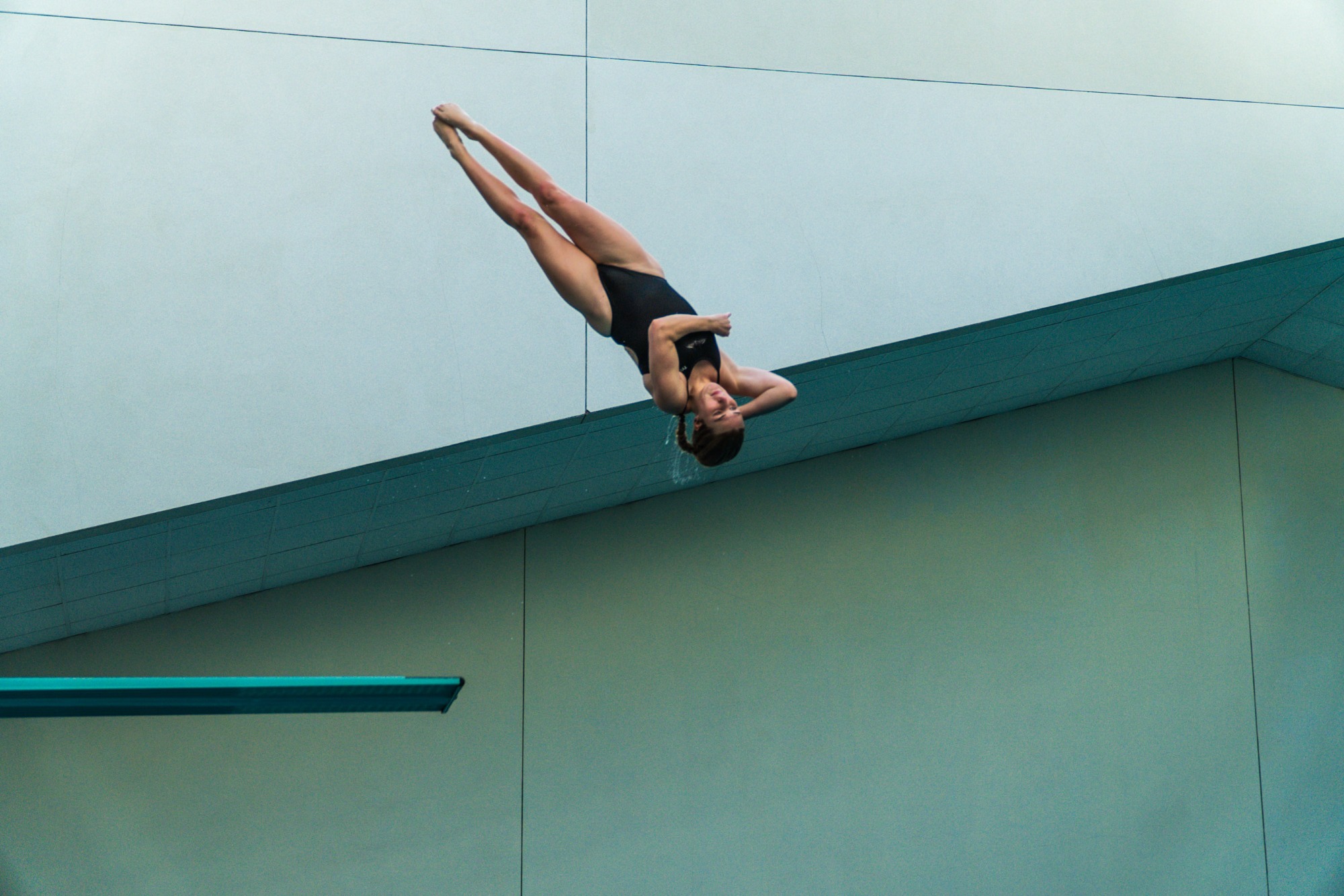 Redford Dive in Campus pool