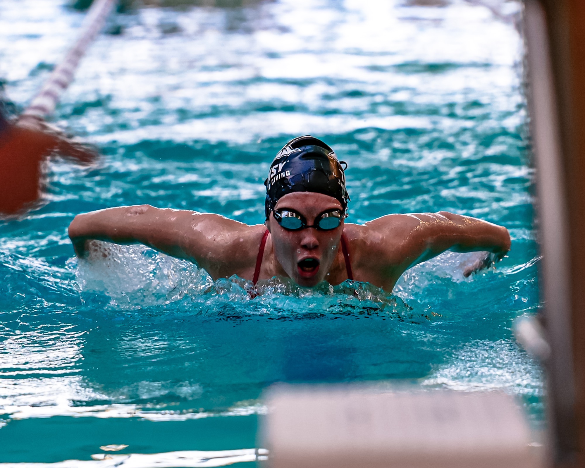 Swim and Dive vs. RHIT