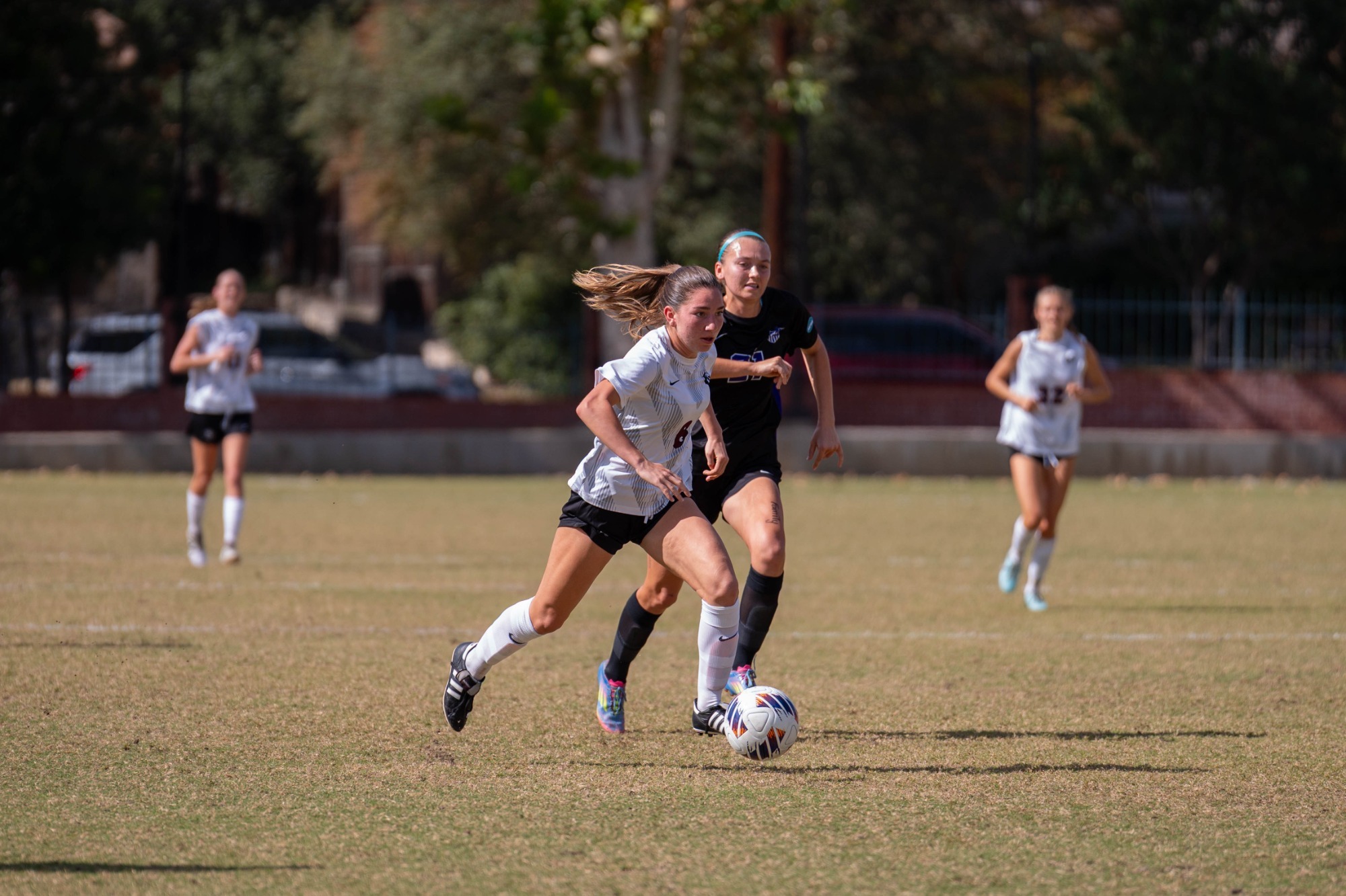 251115 wsoc story pic