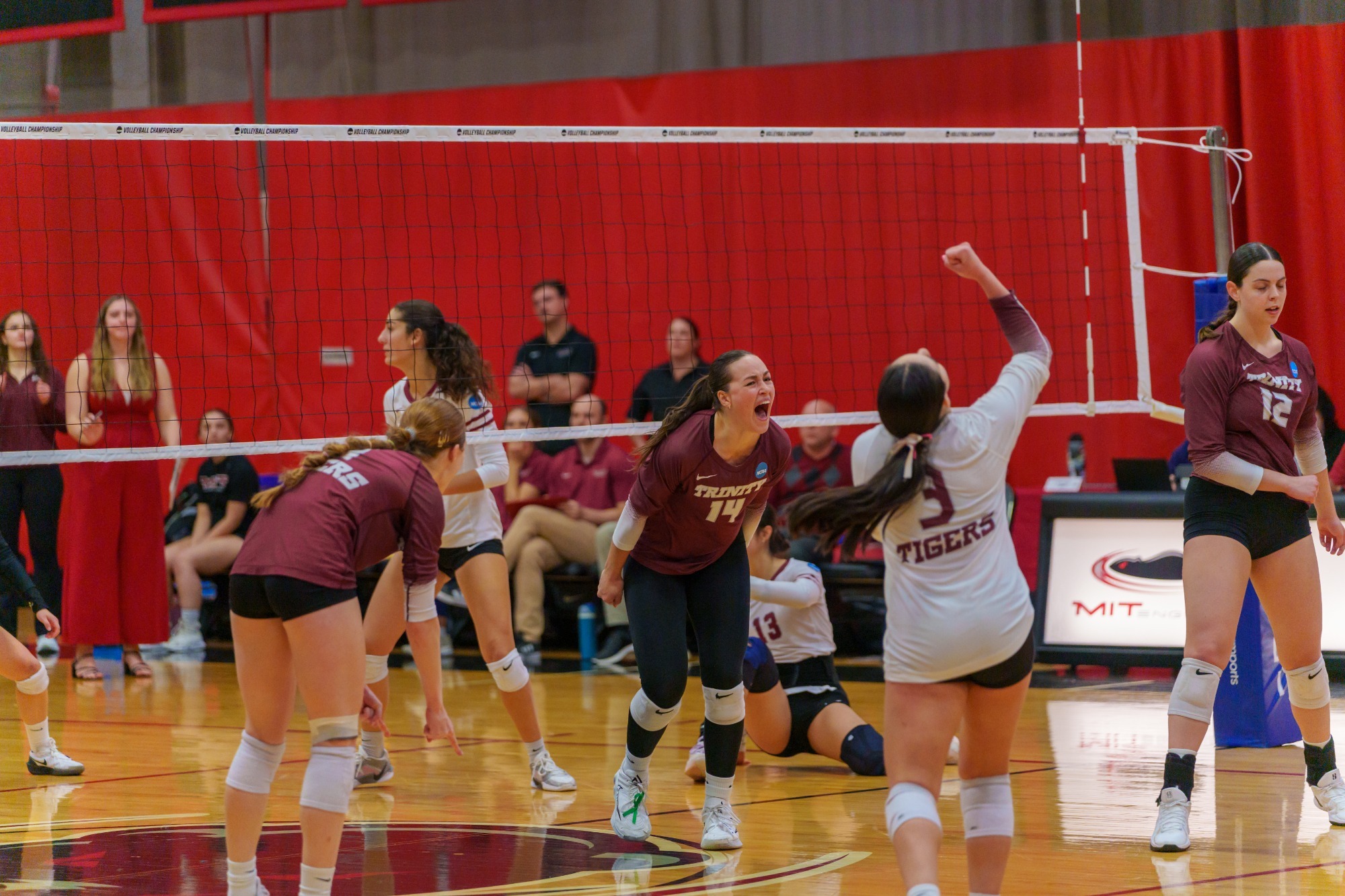 12012025 vb story pic