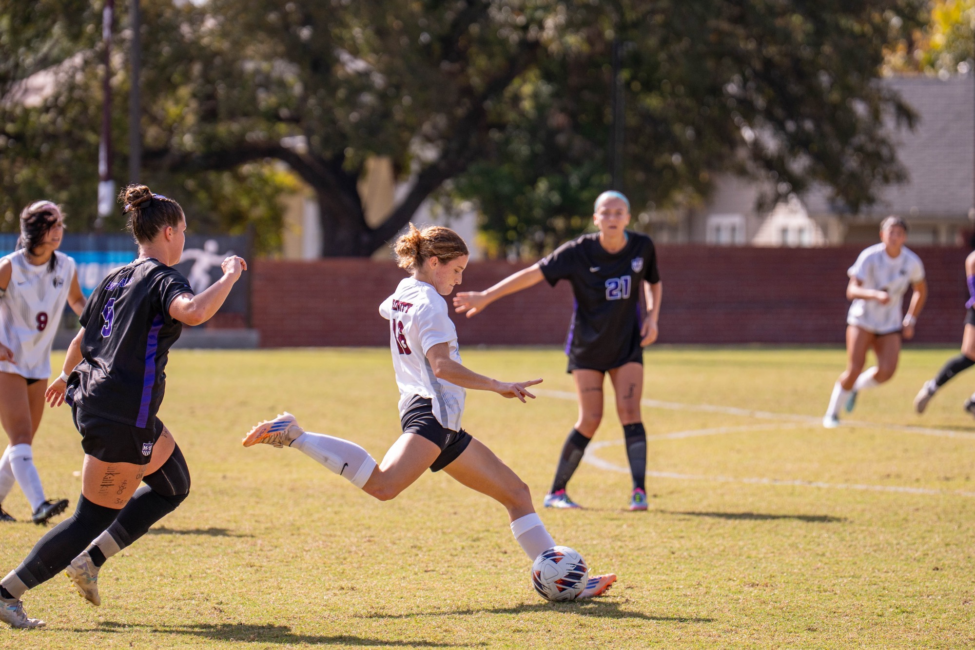 251204_Ilsa_All-American