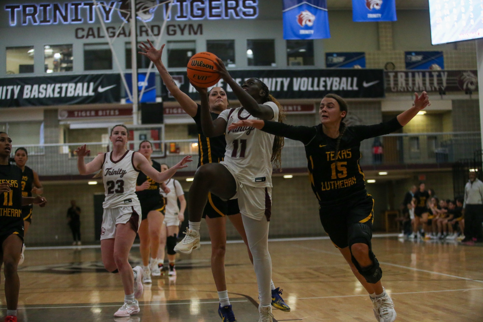 251205 wbb story pic