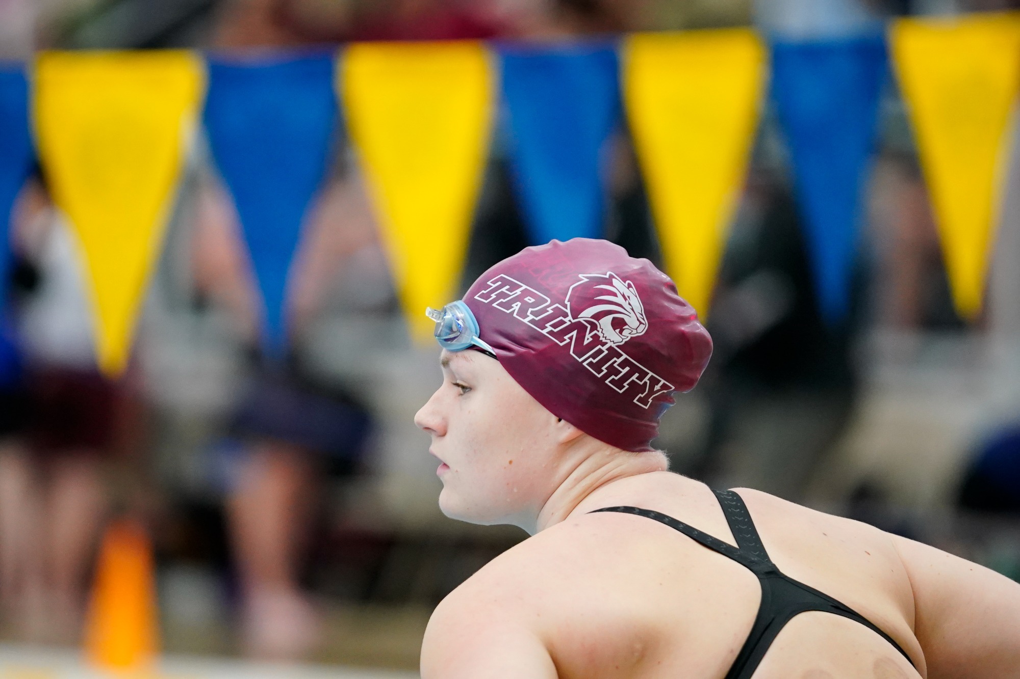 260117 wsd story pic