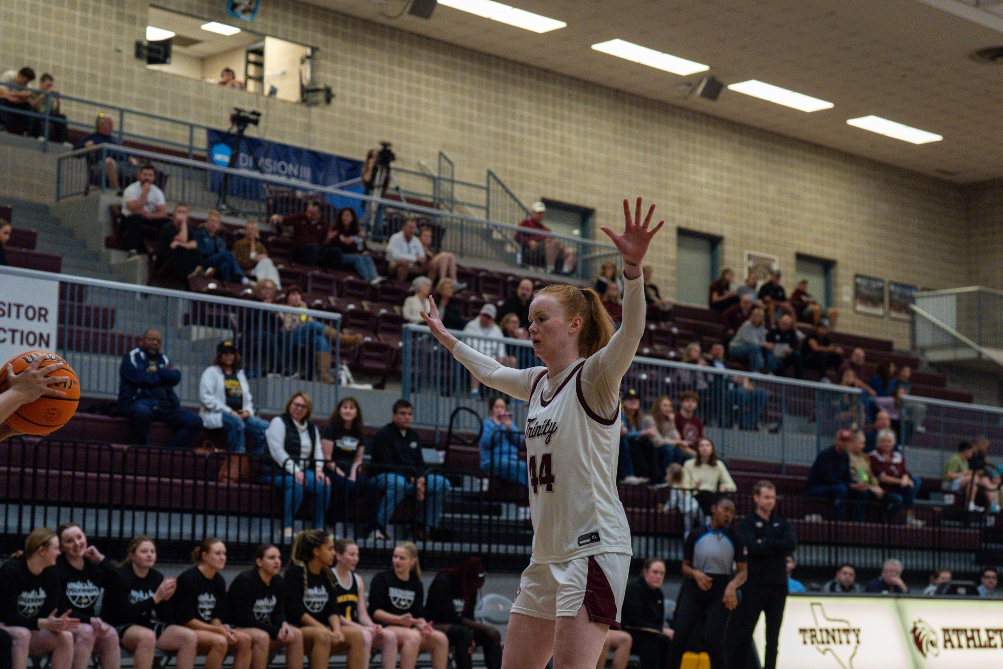 260118 wbb story pic