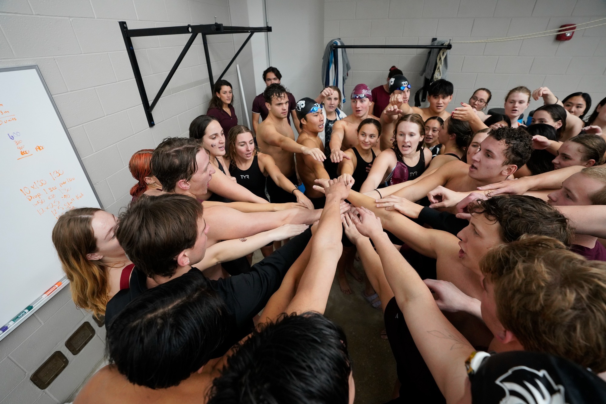 260109 wsd story pic