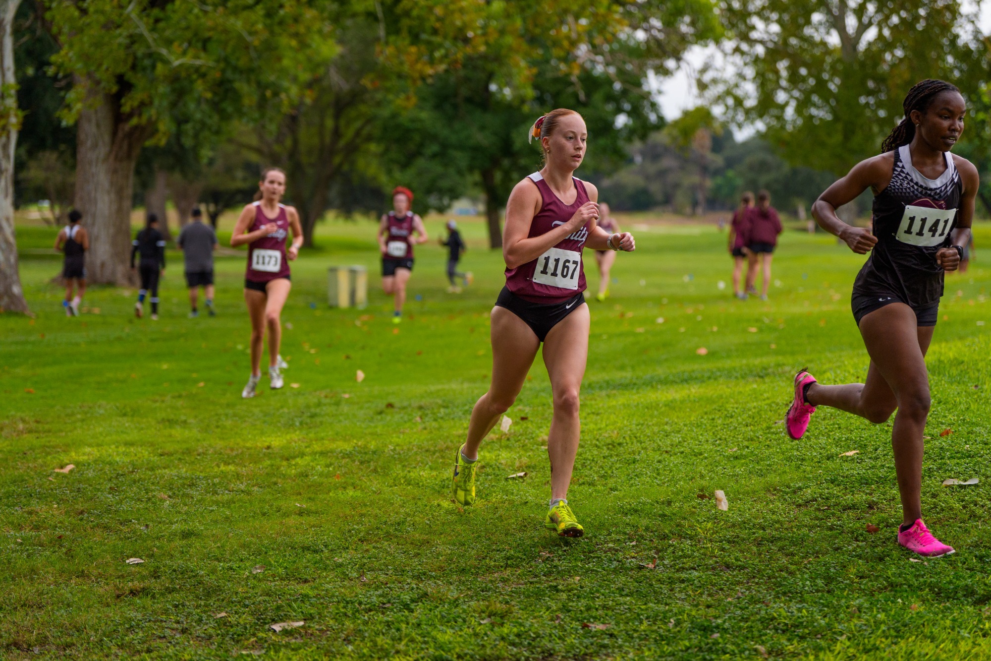 1014 xc story pic