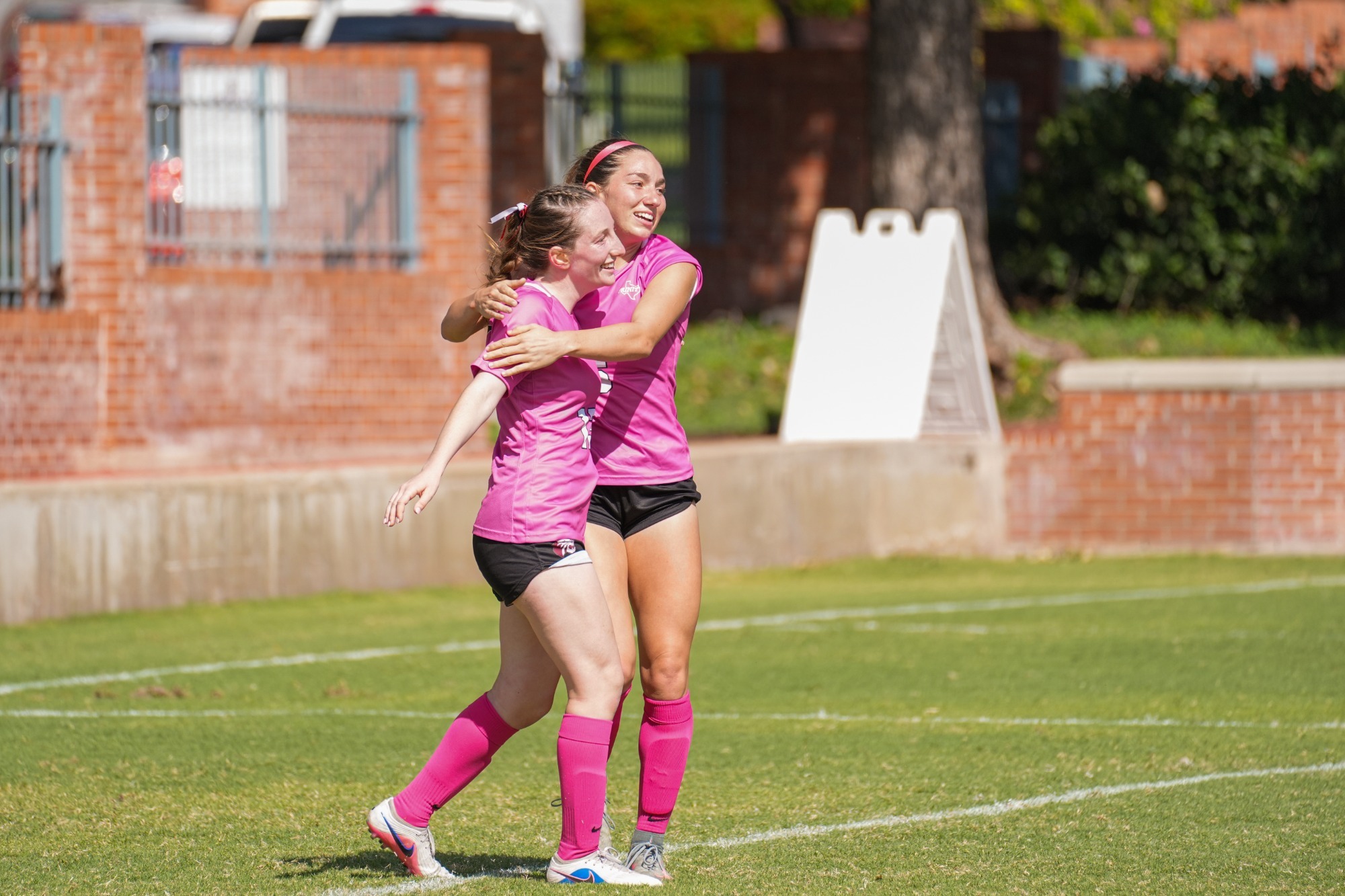 10182026 wsoc story pic