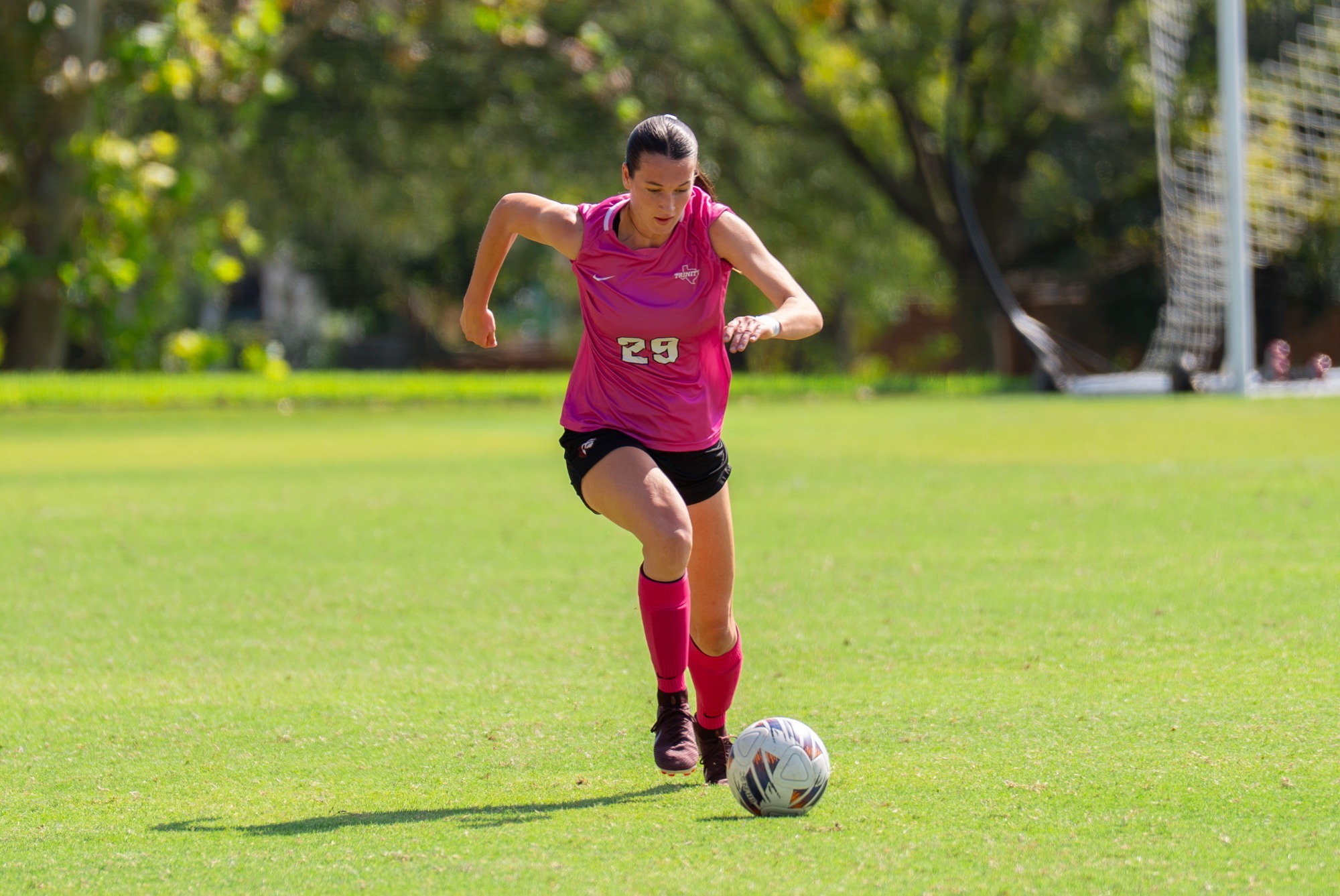 10212026 wsoc story pic