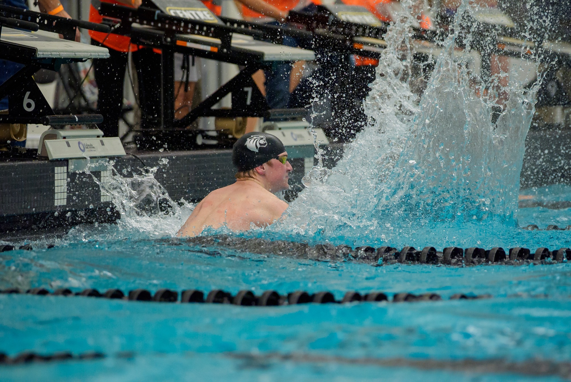 260212 msd story pic