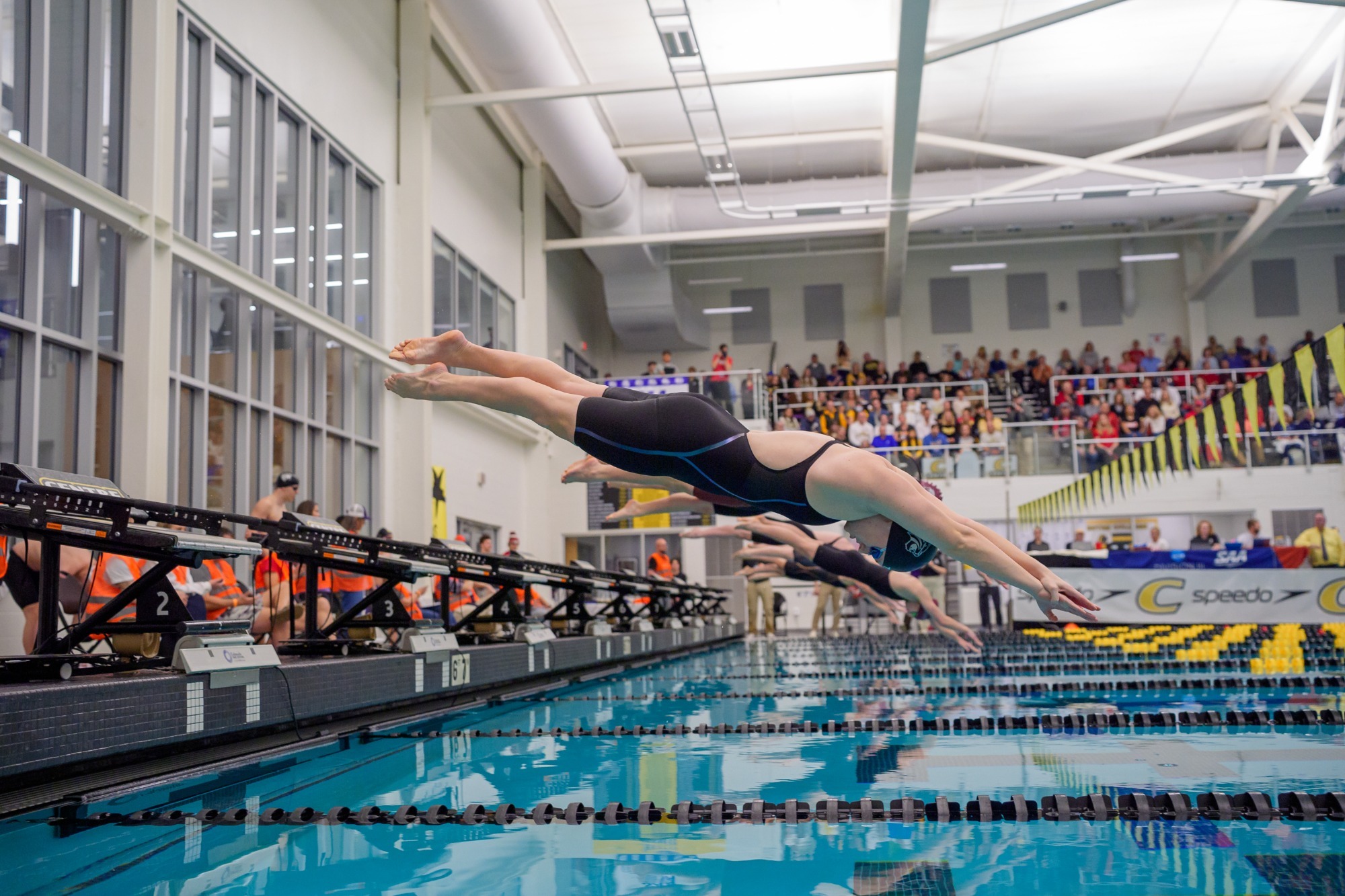 260213 wsd story pic