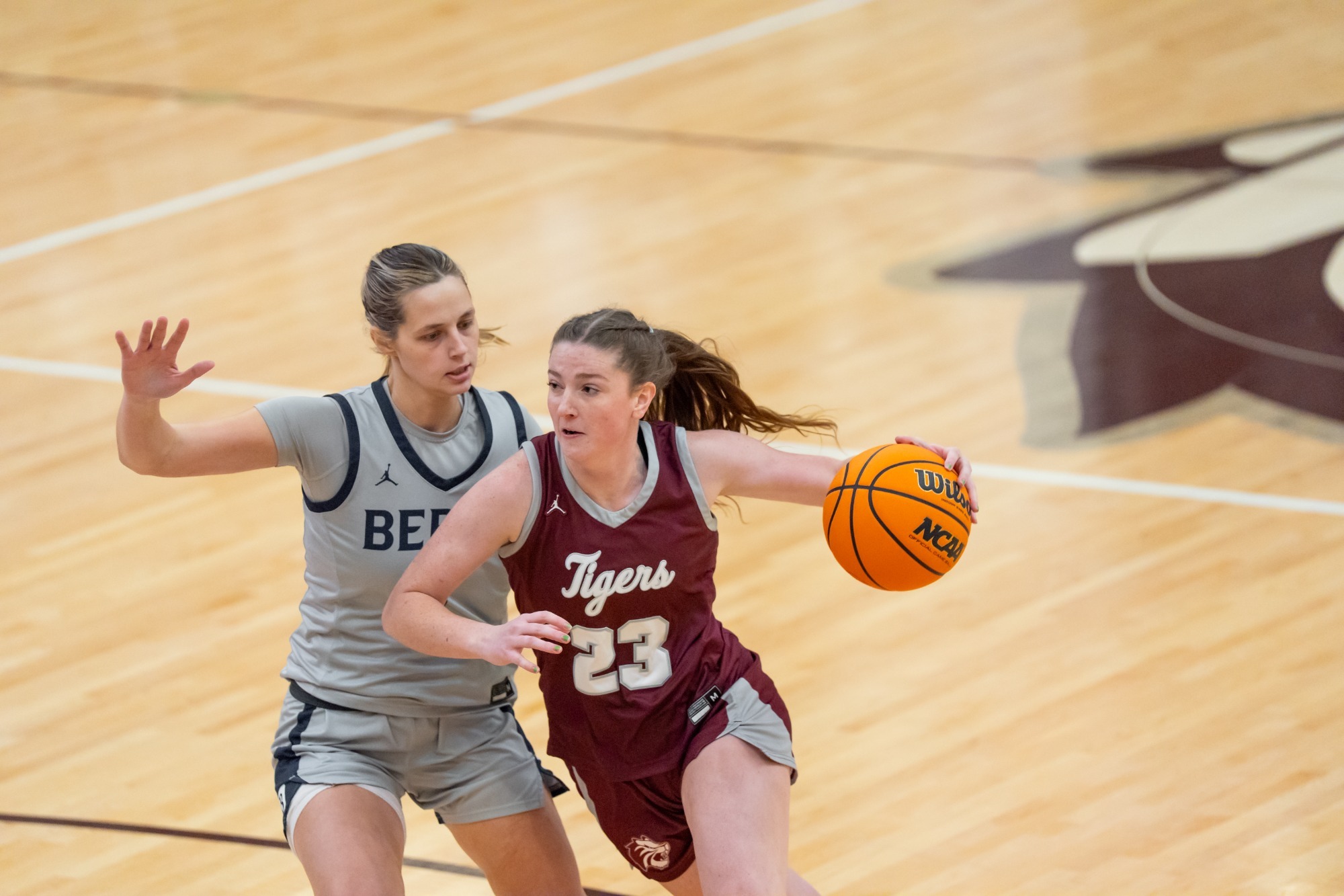 260215 wbb story pic