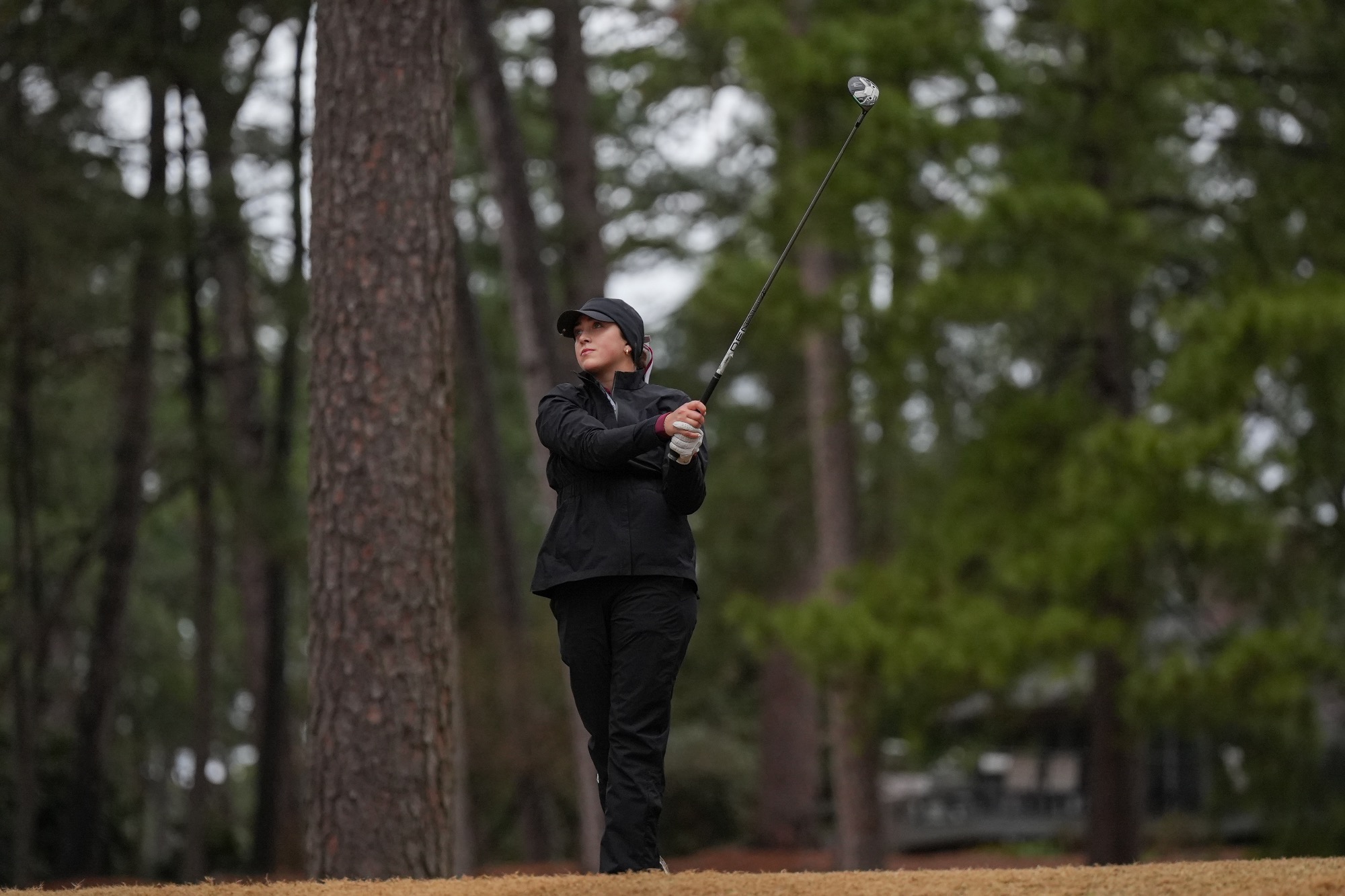 02212026 golf story pic