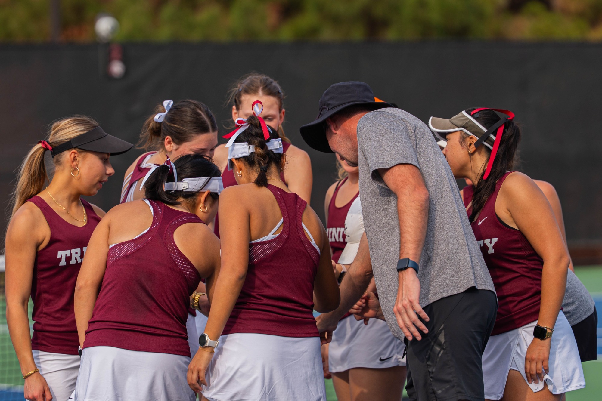 260228 wten story pic