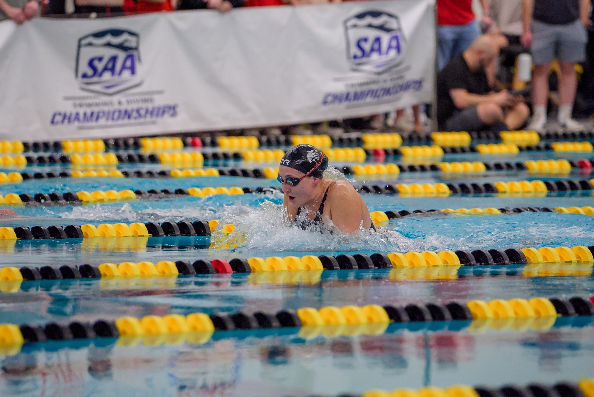 03162026 sd story pic