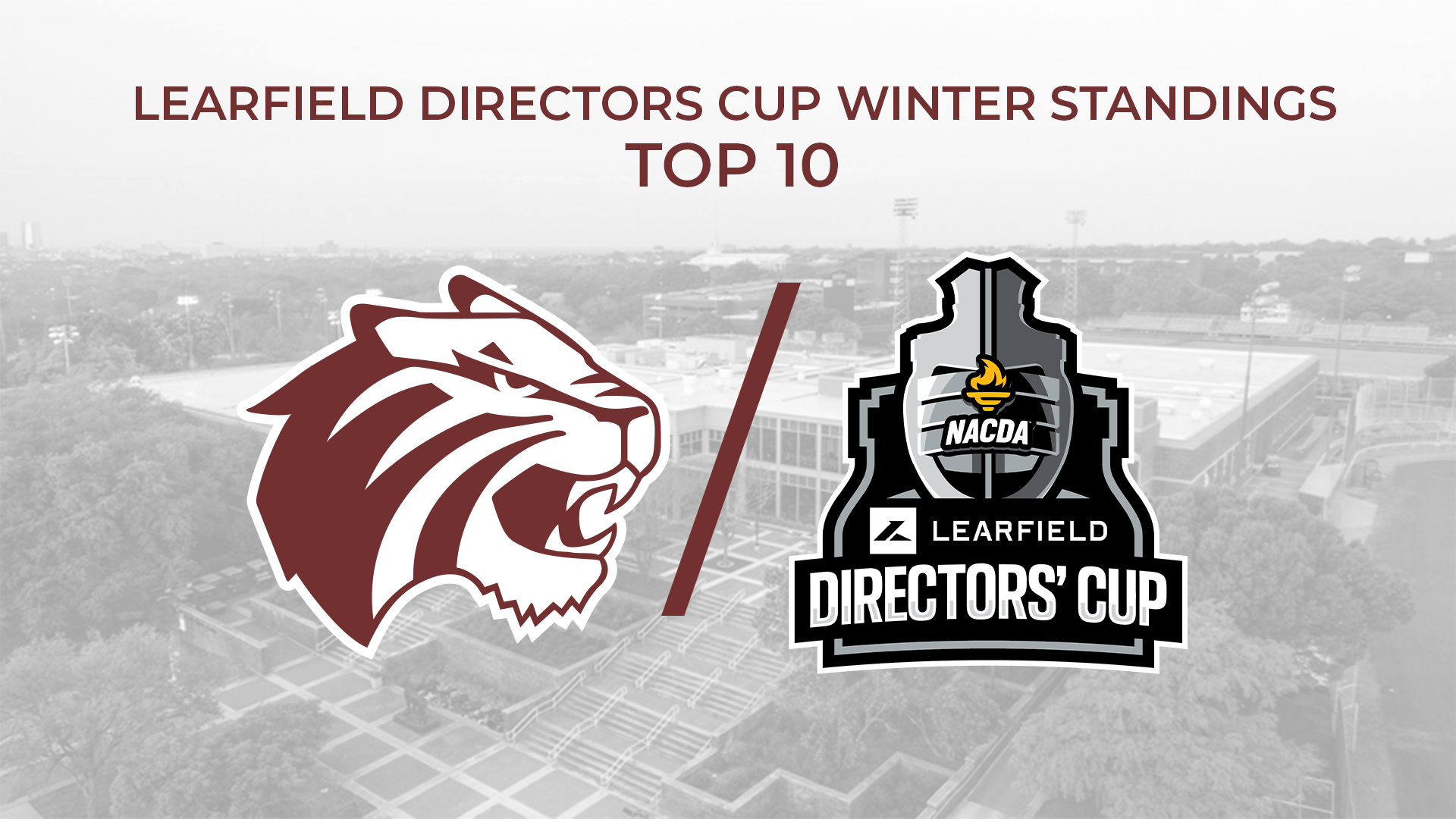 Winter Learfield
