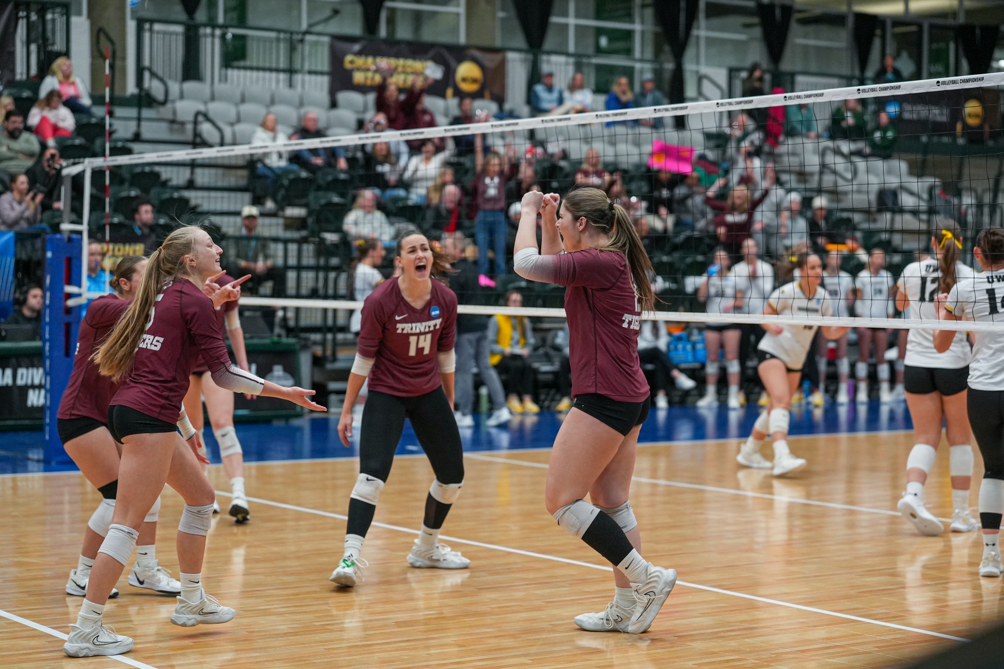 mcwilliams connelley vb