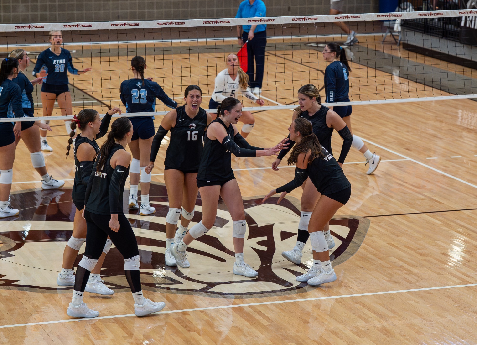 volleyball yelling in huddle